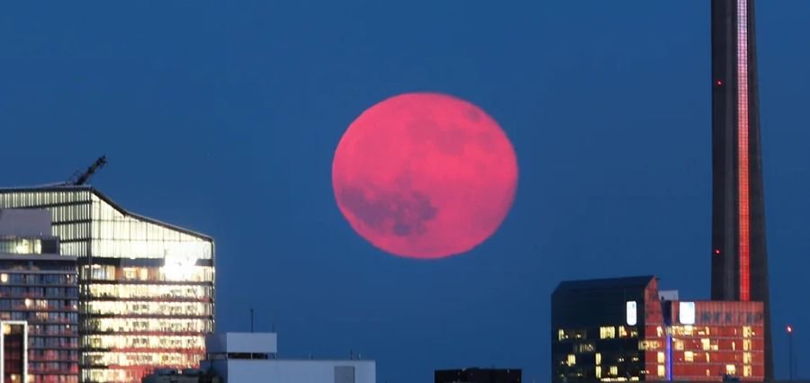 You are currently viewing Strawberry Moon Rises So Low in Night Sky That It Won’t Return Until 2043